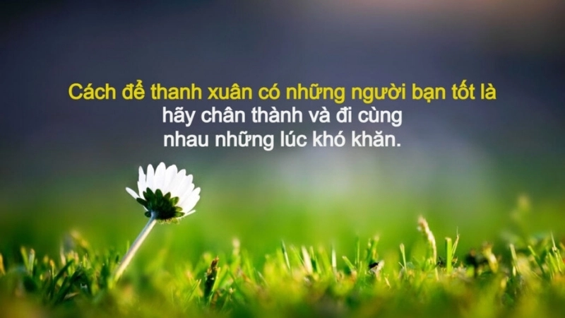 Châm ngôn về sự thành thật giúp bạn sống chân thực