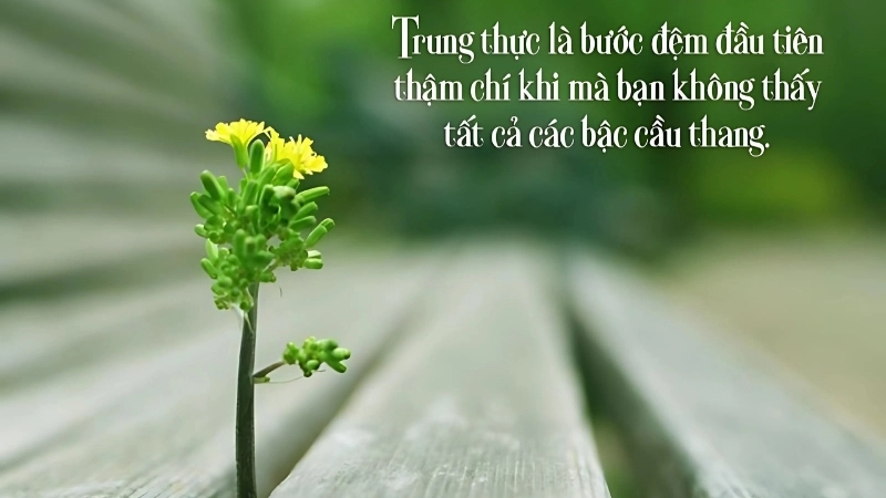 Những châm ngôn về sự trung thực truyền cảm hứng và ý nghĩa