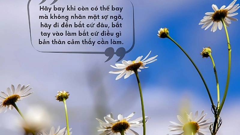 Châm ngôn về sự tự do truyền cảm hứng cho cuộc sống