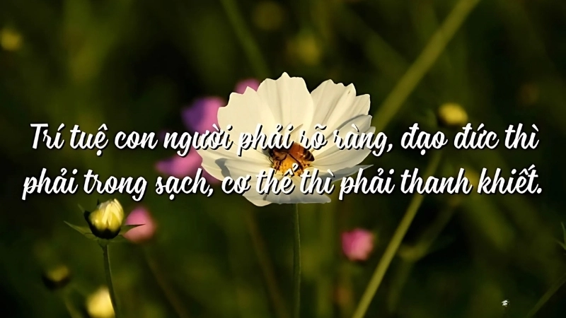 Châm ngôn về trí tuệ giúp khai mở tâm hồn và trí tuệ