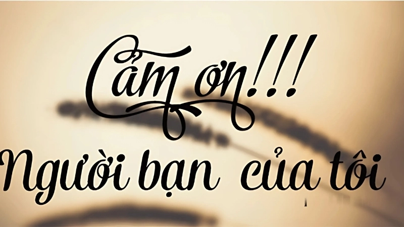 Top stt cảm ơn cuộc đời đầy ý nghĩa và sâu sắc