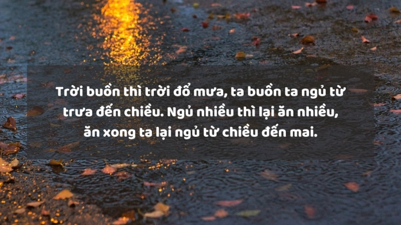 Những stt mưa buồn khiến lòng thêm nhói