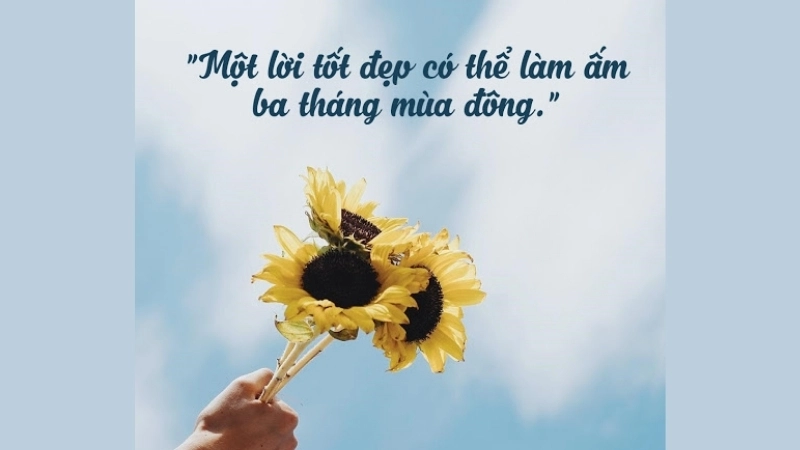 Những stt ngắn về cuộc sống ý nghĩa và sâu sắc