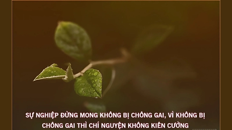 Những stt về nghề nghiệp sâu sắc và truyền cảm hứng