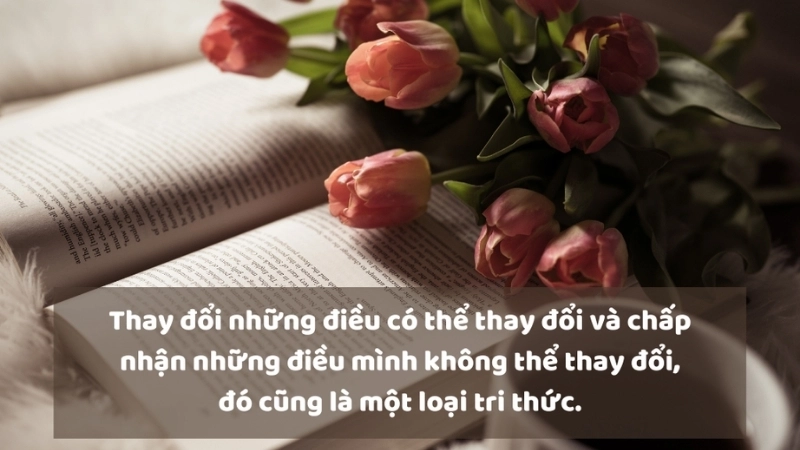 Những stt về sự chân thành làm lay động lòng người