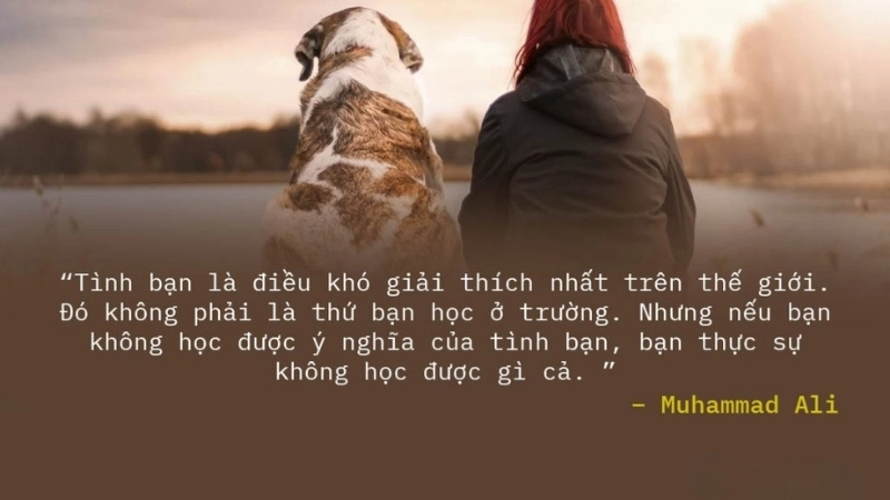 STT về tình bạn thân đầy yêu thương và gắn kết