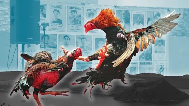 Lợi ích nổi bật khi cá cược đá gà Thomo Sin88