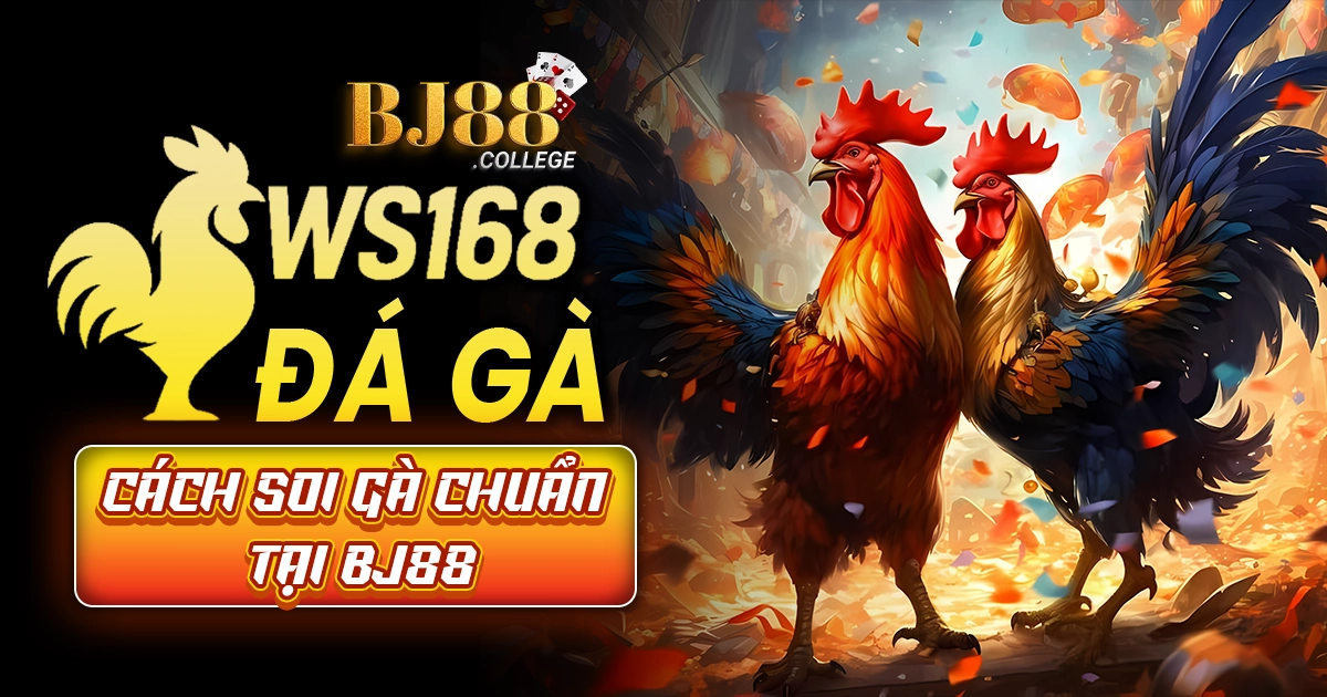 Giới thiệu về WS168
