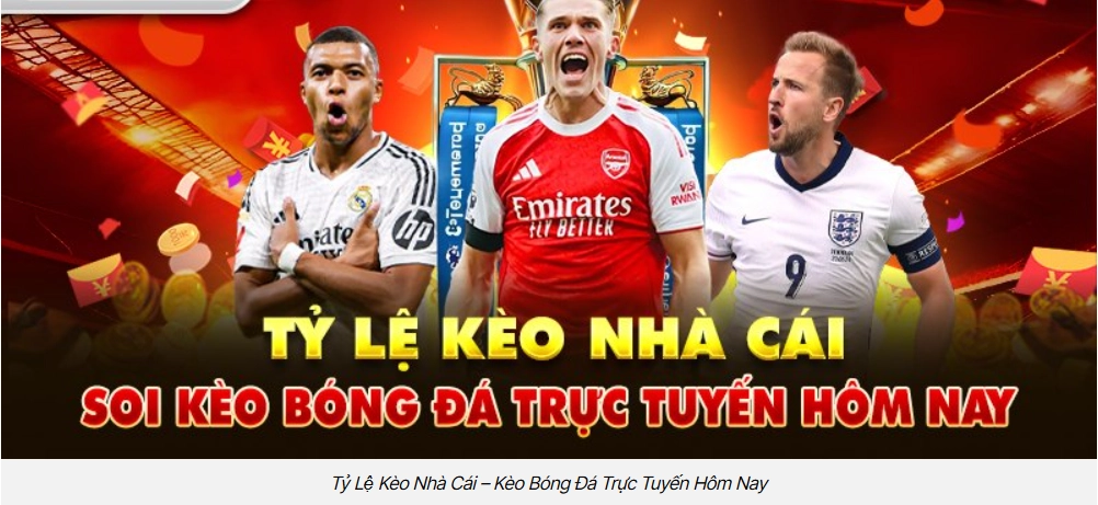 Bức tranh tổng quan và nguyên tắc hợp lệ