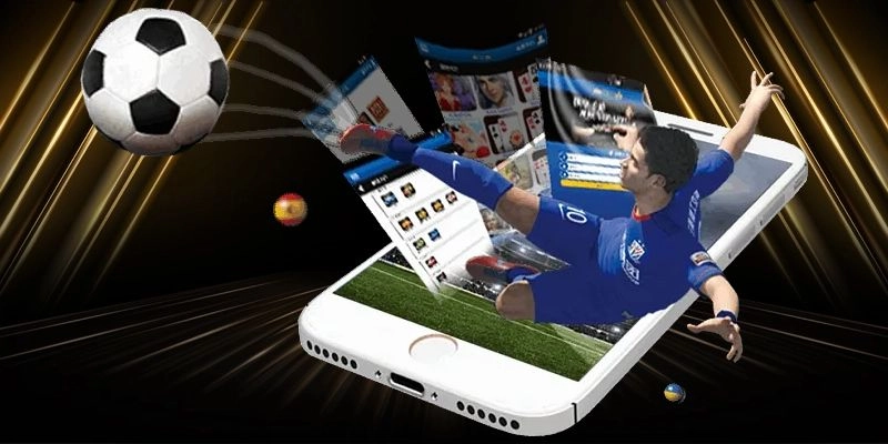 Các bước cần thiết để cá cược hiệu quả