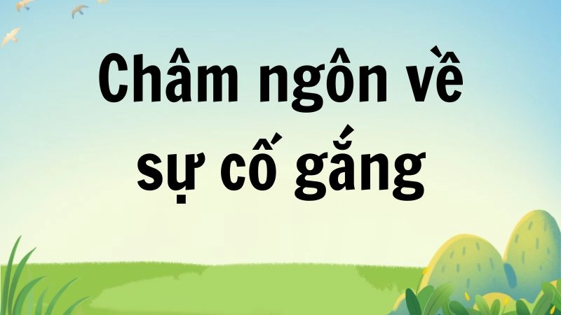 Vai trò của sự cố gắng trong đời sống hàng ngày 