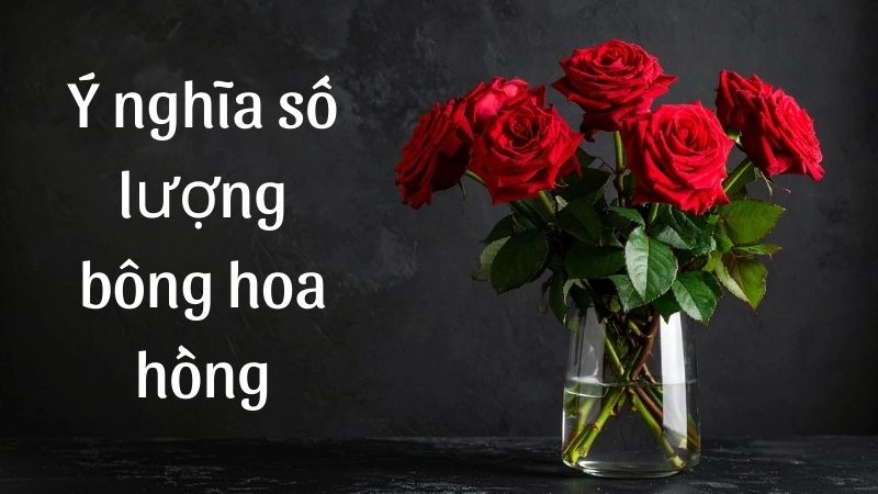 Thông điệp ẩn giấu sau những đóa hồng đơn lẻ