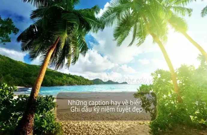 Những caption hay về biển - Ghi dấu kỷ niệm tuyệt đẹp