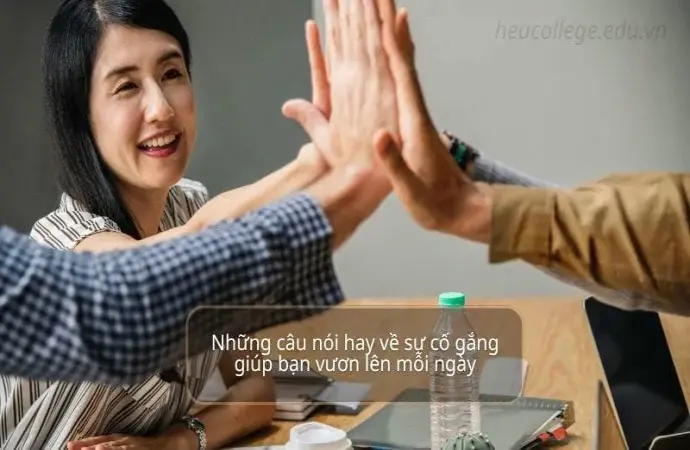 Những câu nói hay về sự cố gắng giúp bạn vươn lên mỗi ngày