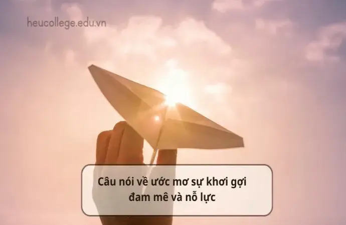 Câu nói về ước mơ sự khơi gợi đam mê và nỗ lực