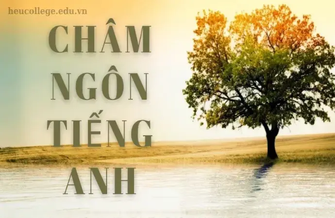 Châm ngôn tiếng Anh là gì? 100 câu châm ngôn hay truyền cảm hứng