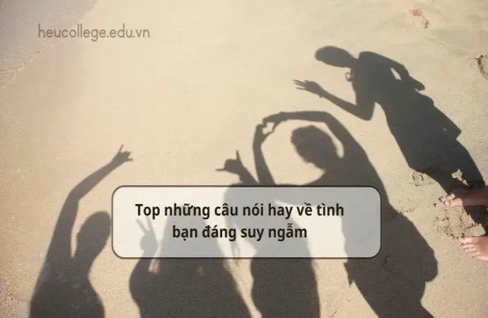 Top những câu nói hay về tình bạn đáng suy ngẫm