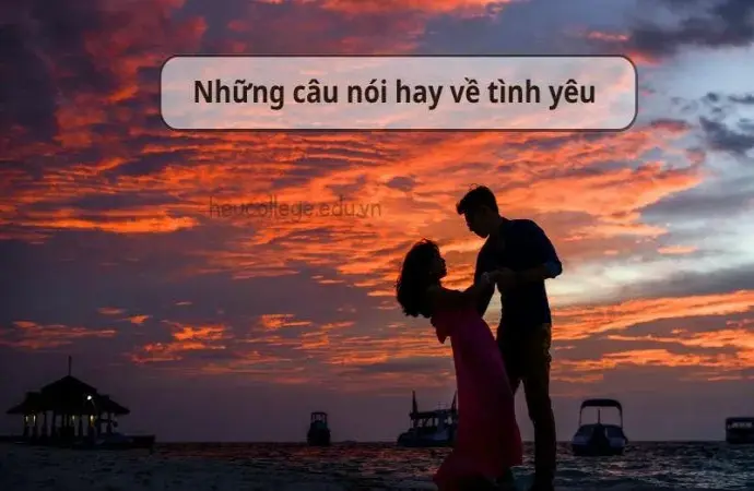 Top những câu nói hay về tình yêu lãng mạn