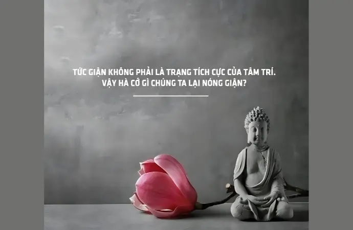 Tổng hợp caption cảm xúc sâu sắc giúp bạn chia sẻ tâm trạng