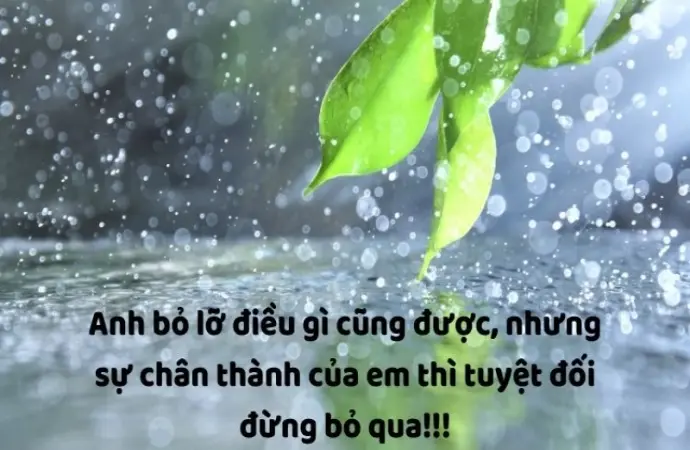 Tổng hợp caption vui về cuộc sống hài hước và ý nghĩa