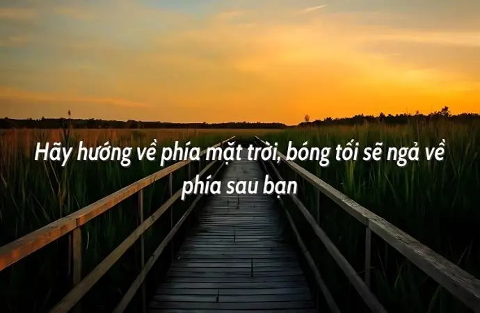 Tổng hợp caption ý nghĩa cuộc sống để tâm hồn thêm an yên