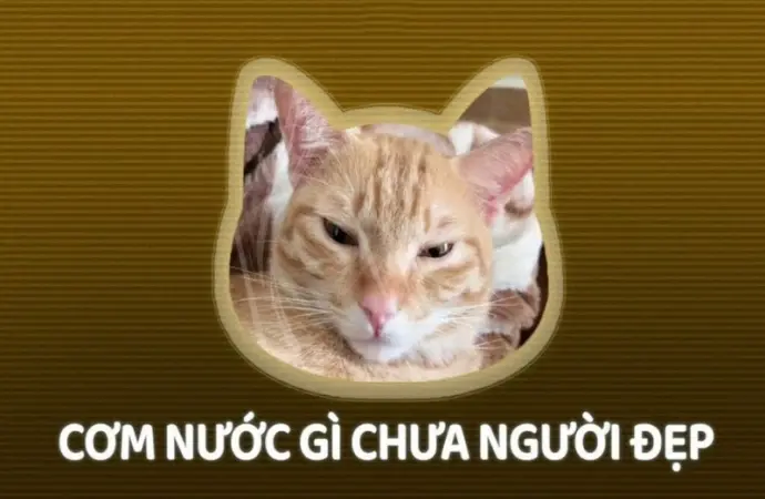 Câu nói bắt trend mạng xã hội siêu hot dân mạng thích