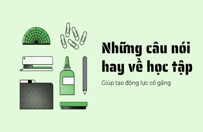 Những câu nói hay về học tập giúp bạn tiến bộ vượt bậc