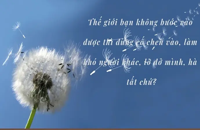 Châm ngôn ngắn về tình yêu truyền cảm hứng mỗi ngày