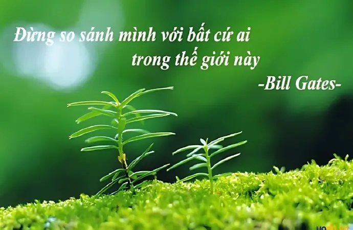 Những châm ngôn triết lý cuộc sống truyền cảm hứng mỗi ngày