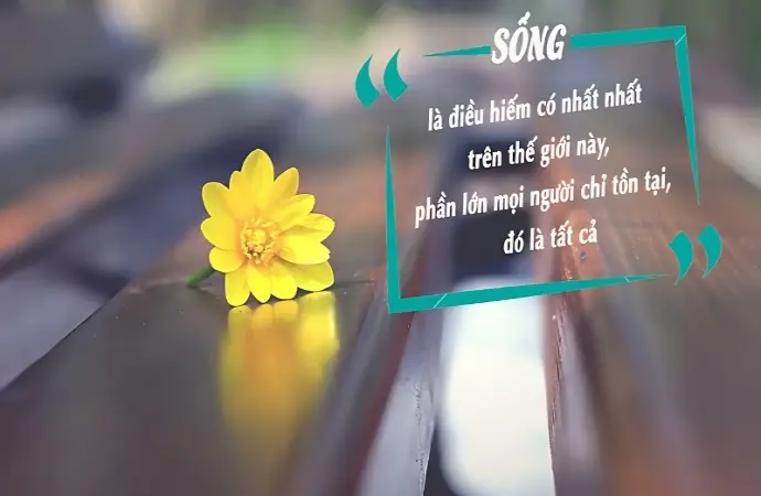 Top châm ngôn về cuộc đời đầy triết lý sâu sắc và thấm thía