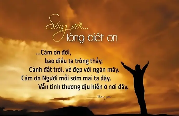 Châm ngôn về lòng biết ơn trong cuộc sống truyền cảm hứng