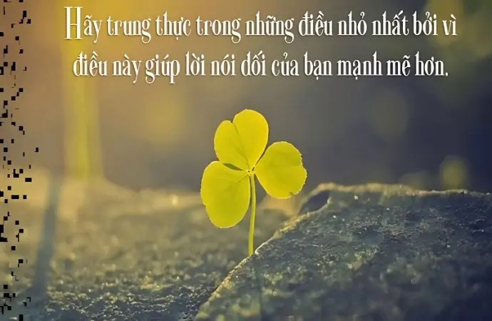 Những châm ngôn về lòng trung thành nổi tiếng mọi thời