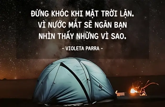 Châm ngôn về nghệ thuật sống giúp bạn tìm ý nghĩa cuộc đời