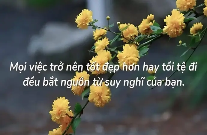 Top câu châm ngôn về nghị lực truyền cảm hứng mạnh mẽ