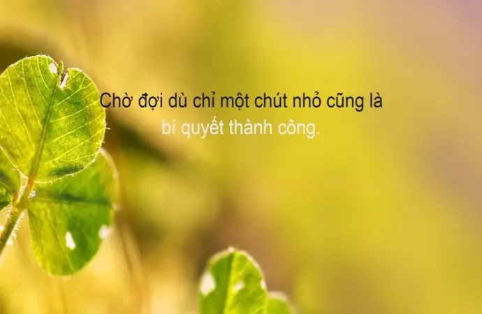 Châm ngôn về sự kiên nhẫn truyền cảm hứng cuộc sống
