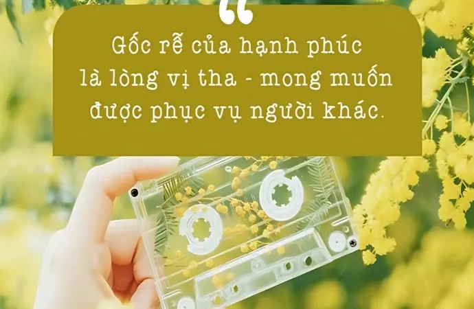 Những châm ngôn về sự tha thứ trong cuộc sống sâu sắc