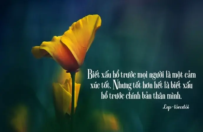 Châm ngôn về sự thẳng thắn giúp bạn sống chân thật hơn