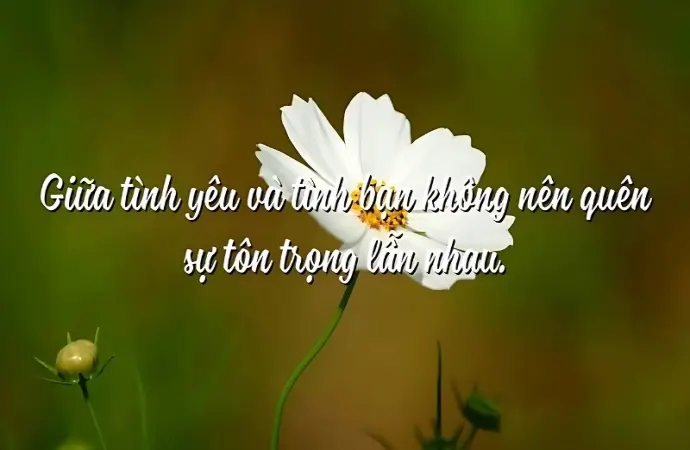 Top châm ngôn về sự tôn trọng sâu sắc và đáng suy ngẫm