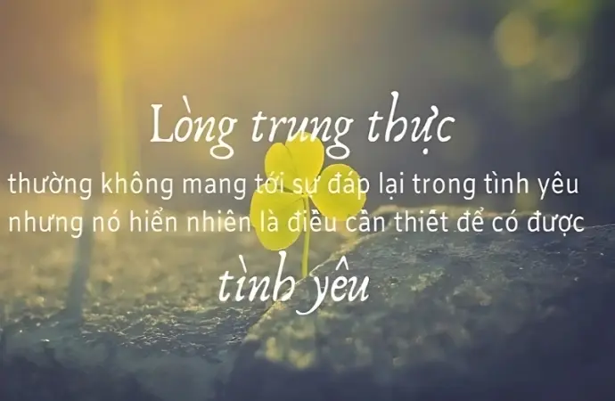 Châm ngôn về sự trung thực giúp xây dựng niềm tin vững chắc