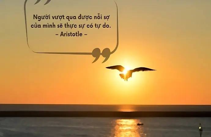 Những châm ngôn về sự tự do truyền cảm hứng mỗi ngày