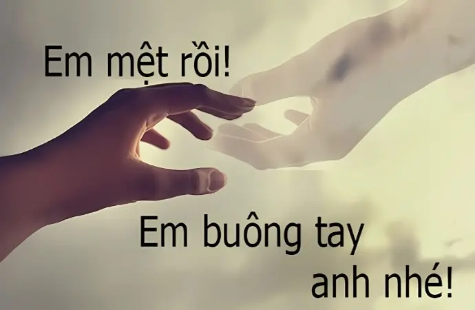 Stt buông bỏ tình yêu dành cho những trái tim tổn thương