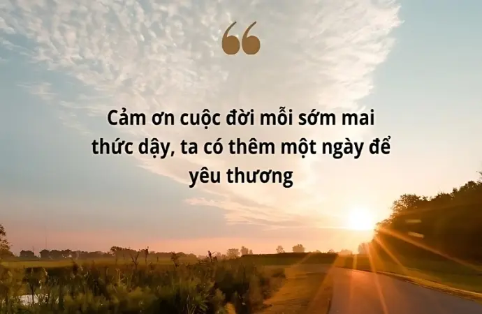 Những stt cảm ơn cuộc đời truyền cảm hứng mỗi ngày