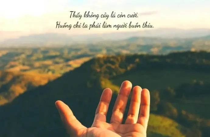 Top stt cảm xúc lạc quan giúp bạn vượt qua khó khăn