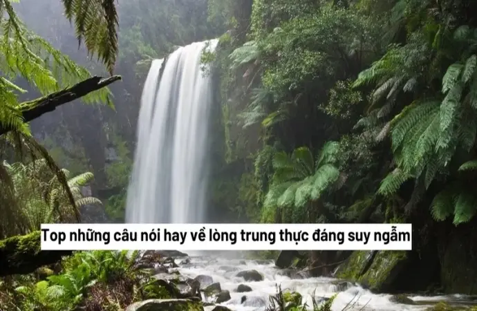 Top stt hay về sự trung thực giúp bạn sống chân thành hơn