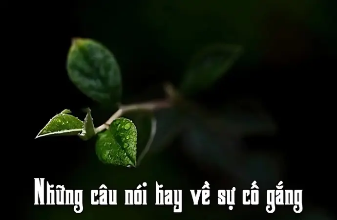 Gợi ý stt nói về sự kiên trì dành cho tuổi trẻ năng động