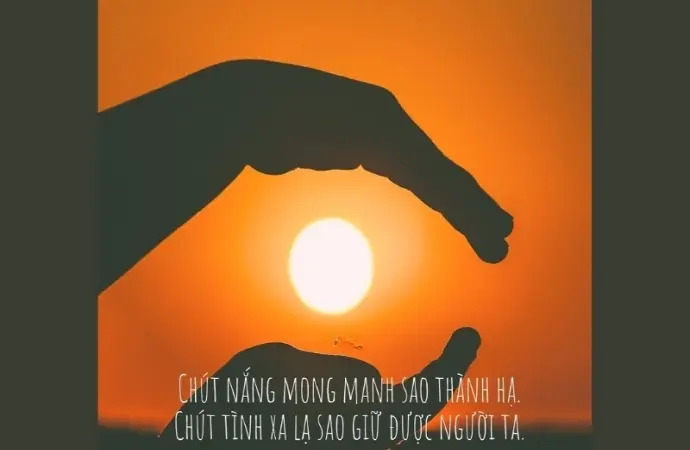 Stt về mùa hè vui tươi giúp bạn tận hưởng nắng vàng