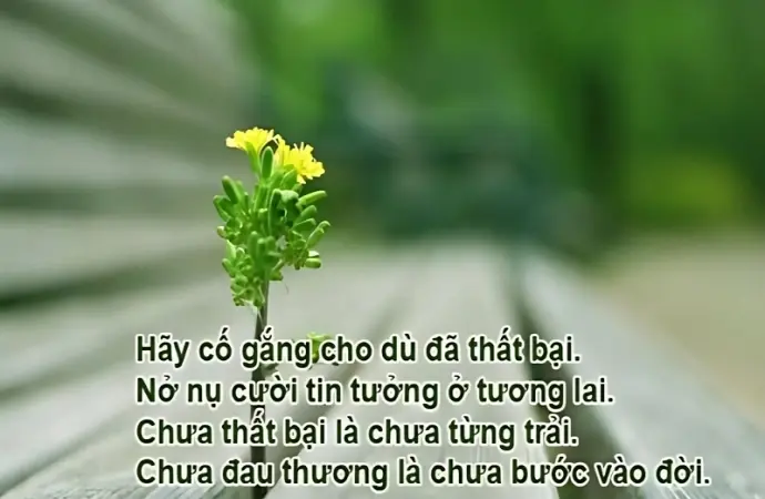 Những stt về nghề nghiệp sâu sắc khiến ai cũng đồng cảm