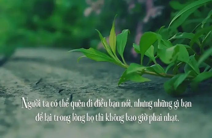 Những stt về sự cố gắng giúp bạn vượt qua khó khăn