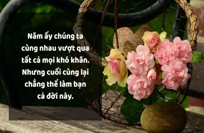 Tổng hợp stt về tình bạn thân chân thành và cảm động