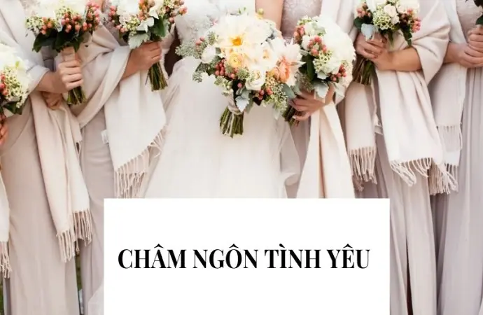 Top châm ngôn tình yêu chữa lành tim người thất vọng